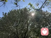 反复陷在难过里，
不是你心态差，
只是你太看重感情、
习惯独自消化所有委屈。
不用责怪自己走不出来，
自愈从来没有固定期限，
你按照自己的节奏慢慢治愈就足够了。配图
