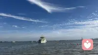 你在感情里容易焦虑、容易多想、容易对方一冷淡就惶恐不安，不是你矫情，是你的内心深处藏着很深的依恋创伤。曾经经历过突然的疏远、无声的冷落、毫无预兆的离开，让你的潜意识形成了：关系随时会消失、爱随时会撤离的恐惧。所以你总是小心翼翼、反复确认、极度敏感、患得患失。你不是不信任对方，你是不信任自己值得被长久坚定爱着。