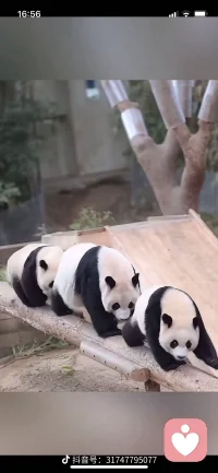 敢于和不舒服的关系说拜拜