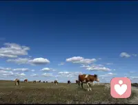 人一生本就是一个人，不管任何人，也就是说陪你走一段路，有的是几年有的是几十年，到最后你还是一个人来一个人走，所以说有的情绪就不要压着自己调解，调解不了就找倾听师来缓解情绪，加以引导。配图