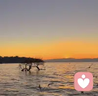 越懂事的人，越需要被温柔对待。配图