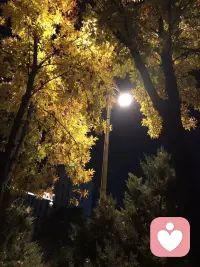 有效咨询的核心是进步，每一次倾诉都该有实质收获。很多倾听师会和来访者一起困在情绪局里，毫无进展。真正的赋能是帮来访者看清：情绪背后是能力与思维的短板，聚焦提升核心能力，跳出内耗，才能实现通透人生，这才是有价值的咨询与倾诉。配图