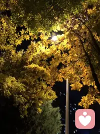 很多人被困在情绪里，却忘了情绪只是表象。本质是思维框架和能力不足以应对眼前事，唯有针对性提升，才能活得通透。这是人生进阶的正常路径，沉溺情绪只会停滞不前，唯有主动破局，用解决问题的行动替代内耗，才能跨越困境，收获成长。配图