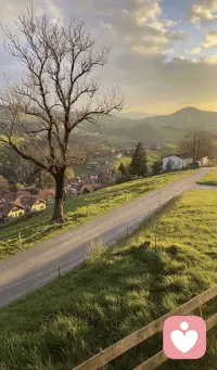 真正的自信，源于向内扎根的底气

自信从不是凭空而来的优越感，也不是刻意伪装的强大，它的本质，是靠日复一日的积累，筑牢属于自己的精神内核。这份底气，藏在大量深耕的学习里，藏在反复钻研的思考中，更藏在无数次实践与重复的打磨下。

我们通过学习拓宽认知边界，用研究拆解未知难题，靠不断重复形成本能，凭持续实践积累经验。这个过程没有捷径，每一步都脚踏实地，慢慢把外界的知识转化为自身的能力，把不确定的迷茫，锤炼成笃定的从容。当内心有了稳定的支撑，便不会再因外界的质疑而动摇，不会因一时的得失而焦虑，这份由内而外的笃定，就是自信最真实的模样。