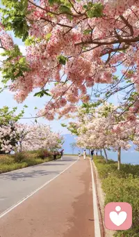 人类过了那么多年了就没有一个规则是有限的长期的不打折扣的执行下去并且起到有效的制约人性，不是人出了问题就是规则出了问题，最终还是人心出了问题，是人性无法被制约和压制导致的，这就是人类恶心循环的原因所在。