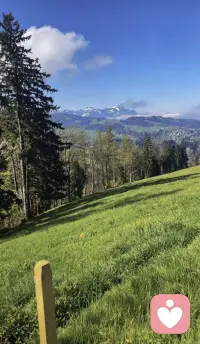 大多数人有了情绪要么自己扛，要么倾诉发现没有完了又是原来的状态，没有一点进步，好的方法是找原因找方法。