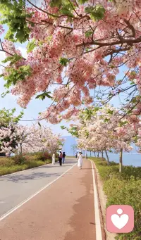 你以为的其实就是你以为