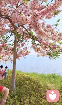 你知道的只能停留在你知道这个阶段，每个人都有信息见茧房，学习的目的不是越学越多，而是要越学越少很多人搞反了。配图
