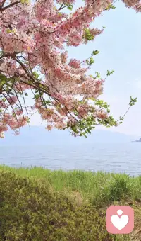 你知道的只能停留在你知道这个阶段，每个人都有信息见茧房，学习的目的不是越学越多，而是要越学越少很多人搞反了。配图