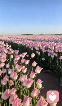 情绪没有好坏之分只是看你怎么面对处理