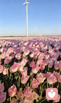 情绪没有好坏之分只是看你怎么面对处理