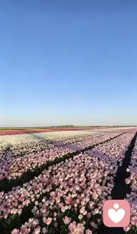 情绪没有好坏之分只是看你怎么面对处理