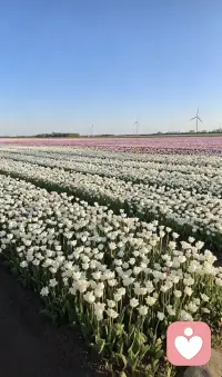 我们看到的很多东西都是让我们变笨变蠢的，跳过所有的概念看到本质解决问题