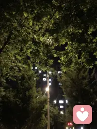 遇人如遇书，不必求厚。
不求封面光鲜，更不求页码冗长。
只要有一行字，能让你在多年后想起时，心头仍泛起暖意，便已是值得珍藏的相遇。那一页的温暖，多年后想起仍然是温馨如昨，记得一辈子。恰好，陪你一起走过一程的友人，日后却成了照亮前路的光。配图