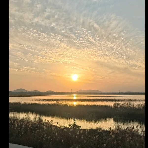 司清