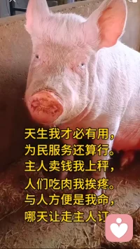 看透生活的无奈，也记得好好自愈。人生没有重来的机会，但我们永远有调整自己的解药
＃人生感悟＃生活自愈＃人间清醒＃