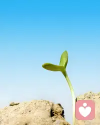 外界世界的好坏，是内心世界的映射
 
外界本无绝对的好坏，它只是以客观的模样存在，我们眼中的世界模样，实则是内心认知、情绪与心境的投射，你内心装着什么，便会看见什么。
 
内心向阳的人，即便身处低谷，也能从琐碎日常中捕捉温暖与希望，将坎坷视作成长的契机；内心积郁的人，纵使周遭繁花似锦，也会被负面情绪裹挟，放大缺憾与阴霾。就像半杯水，乐观者见其满，悲观者见其空，水的状态从未改变，改变的只是看水人的内心视角。
 
这份映射，本质是内心的认知滤镜在筛选、解读外界信息：内心充满善意，便会相信他人的美好，看见世界的温柔；内心被猜忌裹挟，便会处处设防，觉得外界满是算计；内心笃定从容，便会以平和之心面对世事起伏，外界的纷扰也难扰其心。
 
外界的境遇是一面镜子，照见的从来都是我们内心的模样。与其抱怨世界的不美好，不如先修心、调心、悦心，当内心变得丰盈、温暖、坚定，我们所看见的世界，自然会满是光亮与美好。
 
我可以帮你提炼这个话题的核心观点短句，方便用于文案、演讲或随笔，需要吗？配图