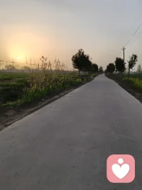 晚风治愈情绪✨
 
走在乡间的小路上，看落日慢慢沉向田野
才发现生活不必总是步履匆匆
那些焦虑、内耗、紧绷的情绪
都可以被温柔的晚风、开阔的风景慢慢抚平
 
允许自己慢下来，接纳所有情绪
好好关照内心，也是一种自我救赎🌿