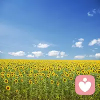 我们都是追光人🌞
偶尔会被迷茫裹住脚步，会有低沉到不想说话的时刻。但没关系，生活本就是起起落落的旅程，迷茫时就慢慢走，去寻属于自己的那束光；低沉后就好好调整，跟上生活的节奏。做积极向上的自己，把每一天都过得热气腾腾✨
#生活感悟 #做自己的太阳配图