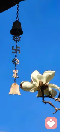 当你不在焦虑，这世界并开满了花配图