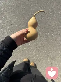 🚺ฅ՞•ﻌ•՞ฅ生活不是选择～而是热爱🫶