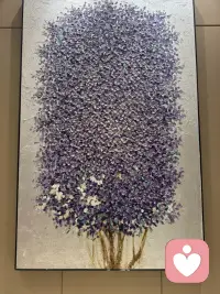 🚺ฅ՞•ﻌ•՞ฅ生活不是选择～而是热爱🫶