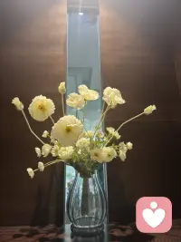 🚺ฅ՞•ﻌ•՞ฅ生活不是选择～而是热爱🫶