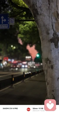 花开有时，花落有序。

生命也有它的四季，不声不响，却自有其步调。

只是我们常埋头赶路，忘了听一听它从容的呼吸。

那些在暗处悄悄蔓延的焦虑，起初不过是微小的种子。

却在一次次望向外界标准时，自由疯长成缠绕心灵的藤蔓。

听见自己内心的声音，鼓起勇气向内探寻。

在属于自己的节奏里，找到内心安稳，创造属于自己的丰盛。