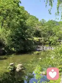 不评判的意义
 不评判他人，因为你并不知道他们经历了什么，只有那些从不评判他人的人，才能真正体会到他人的感受和痛苦。
  放下评判，你将获得自由。评判是灵魂的枷锁，让我们无法真正看到彼此的美丽。
  在爱的眼中，没有对错，只有灵魂的光芒，在闪烁和成长。
  我们停止评判，心灵将变得轻盈，如同飞鸟，在自由的天空翱翔。
   学会宽容，你将发现，每一个人都是一座未曾探索的宝藏。
  让我们用心去感受，而不是用眼去评判。在这片无限的爱中，找到真正的自己。配图