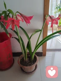 又是美好的一天，但这一天都每个人都有不同的意义，乐观的人是从早开心到晚，忧郁的人是一整天都在焦虑，其实仔细想想时间在一分一秒流逝，会带走我们的一切，所以调整好心态，善待自己，从今天开始，从现在开始，加油！配图