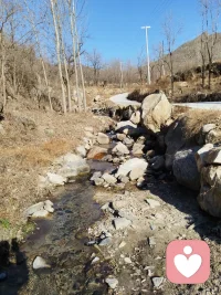 当你走到半路失去方向的时候，请停下脚步，想想一开始你为了什么而出发的吧。配图