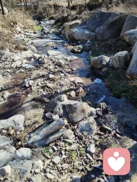 最好的婚姻是，俩个人携手对付这个世界，而不是单打独斗，你说呢！配图