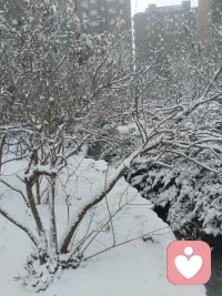 成年人的世界里哪有容易二字啊，不都是在负重前行吗？所以再苦再累也要坚持下去，不为别的，只为那期待眼神配图