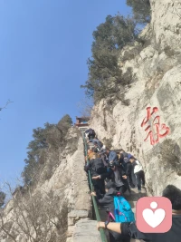 我是谁？哲学拷问，人从出生就是独立的个体，需要父母等等亲人照顾才能活下来，慢慢扩充到亲戚，同学，玩伴等等。进入社会，在这个过程中获得尊重和认可，体现了自己的价值，随着时间的变迁，价值感慢慢减少，就会疏远自己的亲戚，同学，朋友等等。这是现象和规律。也就是隔离链接，意味着慢慢的枯萎。同时会有的人 ，会放弃各种社会束缚，我们都是退休的，我也有能力和其他人一起玩耍等等，建立新的社会方式，也就是链接，也就是我还有价值。存在就是价值，绿叶也有绿叶的价值，重要的是你能不能甘愿成为绿叶。甘愿成为绿叶的时候，你已经成为红花🌸。
最终找到自己的归属，表达自己的情感 ，并且为此付出时间精力能够让自己感恩的情况下快乐一些。配图