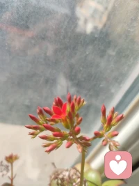 真心想要改变和找到自己做法和规律不一样的求助欲望强烈的，选择专业的心理咨询师，需要中长期陪伴。心理是系统复杂程度很高的学问，学习心理我认为主要是去主观，逐渐了解心理客观规律科学。咨询师只谈规律，很少给建议过程。配图