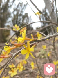 我认为就是来访者的想法和办法就是最适合他的。他当下对他最有利的想法和办法。而不是我给他一个方法和办法，我给他的东西不一定适合他。配图