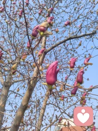 客观很重要，其实更重要的一点是怎么才能客观？客观的前提是自我主体主体性要完善，自我主体性要要增强，也就个人成长，才能做到客观。客观是成熟主观的投射。配图