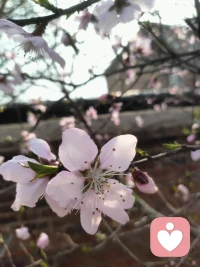 情绪是自己内心的投射。源自于原始的创伤。包括自己的不甘，包括自己的不满，包括自己的委屈。最终我感觉应该是自我成长的一部分。配图