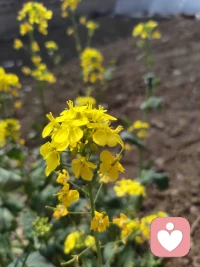 自己通过心理学的学习，从理解孩子，父母，妻子，到理解其他人的生活模式，自己的变化就会影响其他人的变化，甚至能够改变家族运行规律。配图