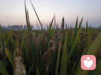 常有家长问我：孩子越来越疏远，这段关系还有修复的可能吗？
答案永远是可以。
青春期对抗、童年留下隔阂、长期冷战，只要愿意放下评判，静下心倾听，亲子之间的冰山都能慢慢融化。
修复关系最好的时间，永远是现在。配图