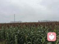 常有家长问我：孩子越来越疏远，这段关系还有修复的可能吗？
答案永远是可以。
青春期对抗、童年留下隔阂、长期冷战，只要愿意放下评判，静下心倾听，亲子之间的冰山都能慢慢融化。
修复关系最好的时间，永远是现在。配图