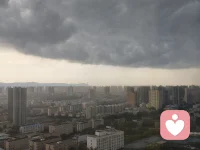 心理疗愈不是消除痛苦，而是拥有和痛苦共处、与之告别、重新出发的力量。
