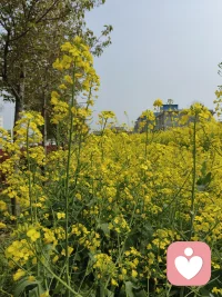 亲子间的矛盾，大多是情绪错位，放下指责，才能真正看见孩子内心。