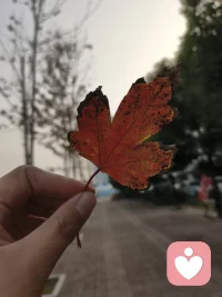 心事有处安放，灵魂自有归途。
