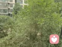 日子缓缓，心绪安然。愿大家日日心安，岁岁无忧。配图