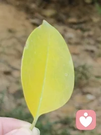 很多人问我：被对象嫌弃，我要怎么“变”，才能让他不离开？
我想说：真正健康的亲密关系，从来不需要你靠“改造自己”来维系。
改变的前提，是为了让自己更舒服、更自洽，而不是为了换取别人的认可。
当一段关系让你开始否定自己时，最先要修复的，不是你，而是这段关系里的边界与尊重。配图