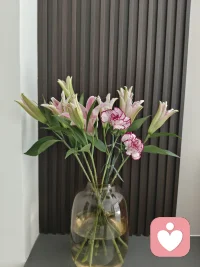 如果你最近：

反复陷入同一种情绪循环

对重要关系感到无力或疏离

明明生活“看起来不错”，却总觉得空落落的

也许不是你的问题，而是有些声音，还没被听见。

咨询不是给你答案，而是陪你一起，把问题看清楚。

欢迎私信聊聊，有时候，开口就是改变的开始。配图