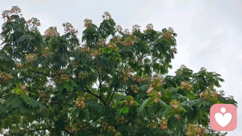 允许情绪如云，做自己天空的容器