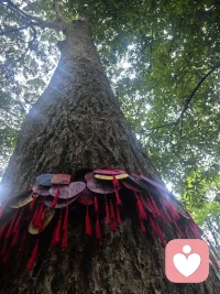 允许一切的发生，看着它来，看着它去，仰望天空，其实你一直在被拥抱🤗🤗🤗配图