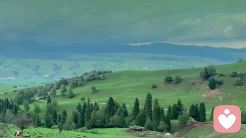 为什么在总在爱里喜欢“重复犯错”?